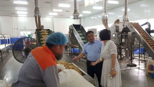 湘西国家农科园赴宁乡国家农业科技园区考察学习，共谋农业高质量发展与信息技术咨询服务创新